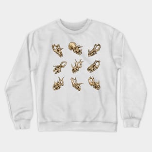 Dinosaur Skull Sticker Set Ceratopsia Crewneck Sweatshirt